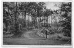 Epse Epserbosch Oude Gelopen Ansichtkaart ( P869 ), Ophalen of Verzenden, 1960 tot 1980, Gelopen