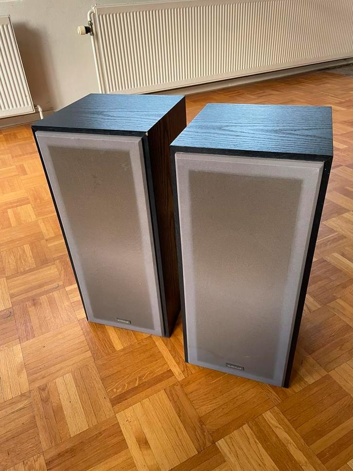 Audiolab Candor II – Utrechts fabricaat – matching pair, Audio, Tv en Foto, Luidsprekers, Gebruikt, Front, Rear of Stereo speakers