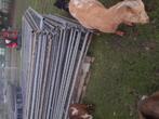 Hekken, Ophalen of Verzenden, Zo goed als nieuw