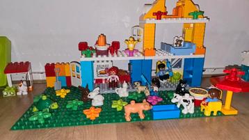 Grote set LEGO DUPLO – met dieren, mensen en Frozen figuren beschikbaar voor biedingen