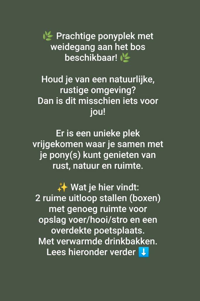 Prachtige ponyplek met weidegang aan het bos beschikbaar!, Dieren en Toebehoren, Stalling en Weidegang, Weidegang