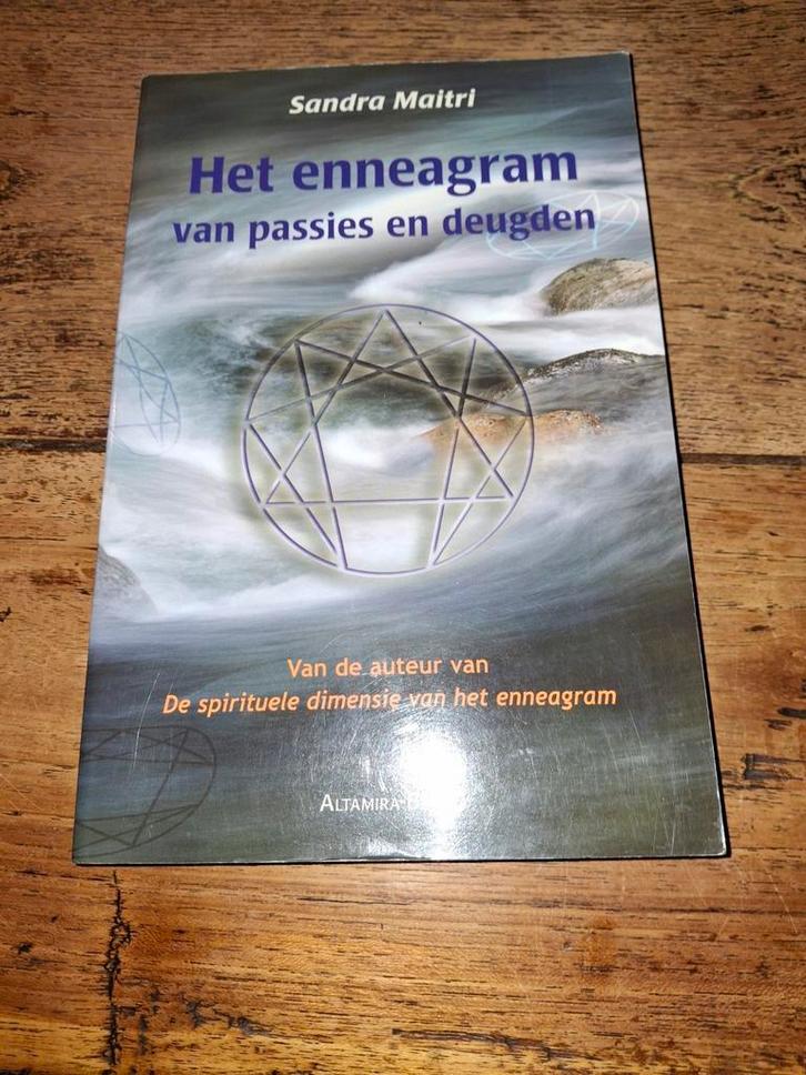 S. Maitri - Het enneagram van passies en deugden, Boeken, Wetenschap, Zo goed als nieuw, Ophalen of Verzenden