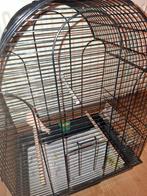 Aangeboden 2 vogelkooien  zwart lees verder AUB., Ophalen, Zo goed als nieuw, Metaal, Vogelkooi