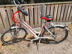 Sportieve damesfiets,TREK APHINA, 28 inch, Zo goed als nieuw, Ophalen, Overige merken