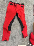 Paardrijbroeken pikeur, Dieren en Toebehoren, Gebruikt, Dressuur, Ophalen of Verzenden, Dames