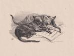 Litho van Emil Kotrba - 2 katten op bladmuziek, Antiek en Kunst, Kunst | Etsen en Gravures, Verzenden