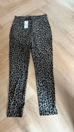 “NIEUW”Dames broek maat M AMBIKA, Maat 38/40 (M), Bruin, Nieuw, Ophalen of Verzenden