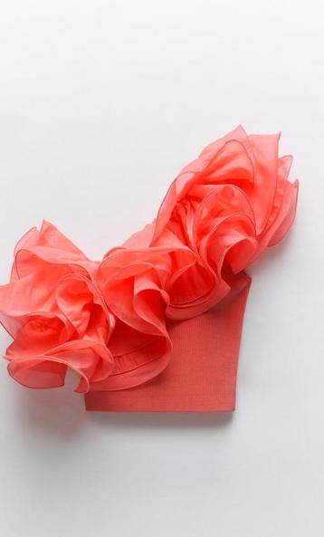ZARA top met organza volants mt. M beschikbaar voor biedingen