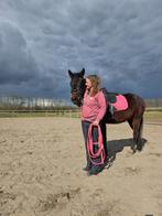 Paardrijles en gedragstraining paarden., Diensten en Vakmensen, Dieren | Paarden | Verzorging, Oppas en Les, Paardrijles of Ponykampen