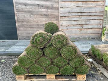 45m² Graszoden/grasrollen 40x250 beschikbaar voor biedingen