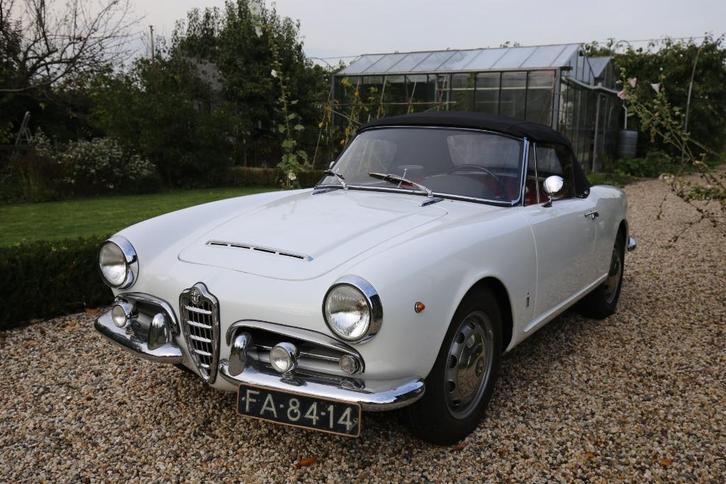 Alfa Romeo 101 1600 spider 1962               (gewijzigd), Auto's, Oldtimers, Particulier, Alfa Romeo, Benzine, Cabriolet, Handgeschakeld
