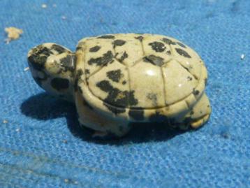 Hanger schildpad van dalmatiër jaspis beschikbaar voor biedingen