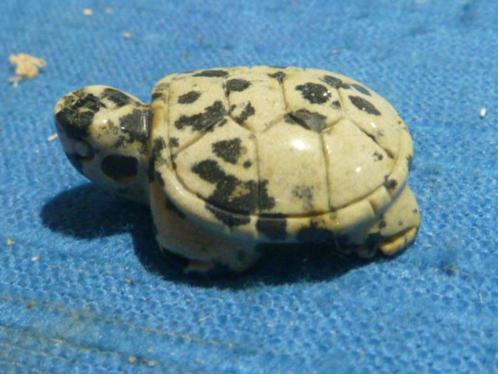 Hanger schildpad van dalmatiër jaspis, Sieraden, Tassen en Uiterlijk, Edelstenen, Nieuw, Ophalen of Verzenden