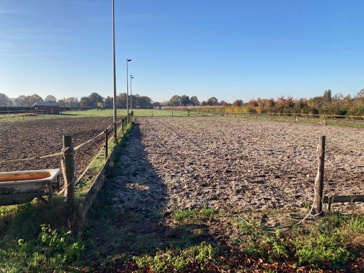 paardenstalling, Dieren en Toebehoren, Stalling en Weidegang, Stalling, Weidegang, 1 paard of pony