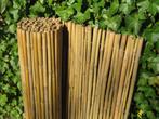 Bamboe rolscherm blank 180 x 180 cm, Tuin en Terras, Tuinschermen, Nieuw, 150 tot 200 cm, 150 tot 200 cm, Hout