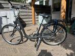 Batavus Entree XN7 grafiet lage instap fiets, Ophalen, Zo goed als nieuw, Minder dan 47 cm, Batavus.