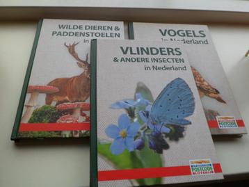 Vlinders & ander insecten - Vogels - Wilde dieren & Paddesto beschikbaar voor biedingen