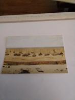 PANORAMA. MESDAG. DEN HAAG.  - BOMSCHUITEN, Ophalen of Verzenden