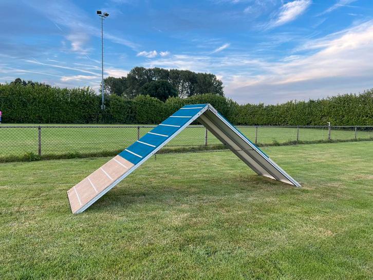 Behendigheidsbaan, agility voor honden, Dieren en Toebehoren, Honden-accessoires, Gebruikt, Ophalen