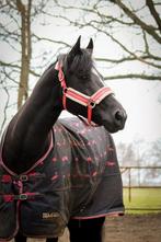 Roze set, hv polo shirt en imperial halster, Dieren en Toebehoren, Paarden en Pony's | Dekens en Dekjes, Ophalen of Verzenden