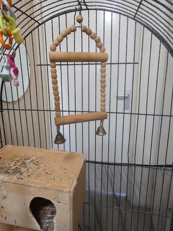 Kooi vogel  beschikbaar voor biedingen