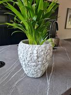 Zware wit/ grijze pot * steentjes look * 22 cm hoog, Rond, Binnen, Ophalen of Verzenden, Zo goed als nieuw