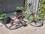 Giant fiets goekoop, Fietsen en Brommers, Fietsen | Mountainbikes en ATB, Ophalen, Gebruikt, Heren, Giant