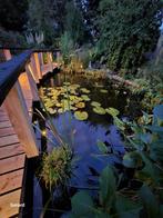 Tuinverlichting, Tuinlampen eiken, Tuin en Terras, Buitenverlichting, Minder dan 50 watt, Staande lamp, Nieuw, Ophalen of Verzenden