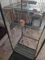 Papegaaienkooi, Ophalen, Kooi