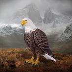 American Bald Eagle – Adelaar Hoogte 99 cm
