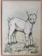 Ingelijste kleurenlitho geitje, Ophalen of Verzenden