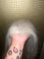 Lace wig echt haar!!, Ophalen of Verzenden, Nieuw, Pruik of Haarverlenging