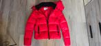 Jas calvin klein maat xs rood, Ophalen of Verzenden, Zo goed als nieuw, Maat 34 (XS) of kleiner, Rood