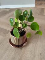 Intratuin 3D print bloempot, Ophalen of Verzenden, Zo goed als nieuw