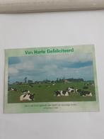 LANDSCHAP  MET KOEIEN  /  FOTO GER DIJS, Ophalen of Verzenden, 1980 tot heden, Gelderland