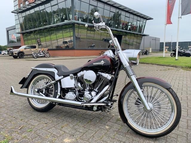 Harley-Davidson FLSTC SOFTAIL MEXICAN SPECIAL (bj 2012), Motoren, Motoren | Harley-Davidson, Bedrijf, Overig
