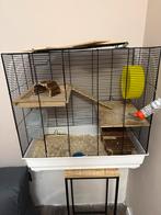 Hamsterkooi, Dieren en Toebehoren, Kooi, Minder dan 75 cm, Hamster, Ophalen