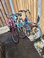 Meisjes fietsen, Fietsen en Brommers, Fietsen | Meisjes, Ophalen, Gebruikt, 26 inch of meer