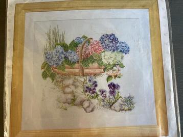 2 nieuwe BORDUURPAKKETTEN HORTENSIA - WD014 beschikbaar voor biedingen