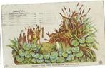 ANSICHTKAART HUDSON FULTON Celebration Commission, Verzenden, Voor 1920, Gelopen, Buiten Europa