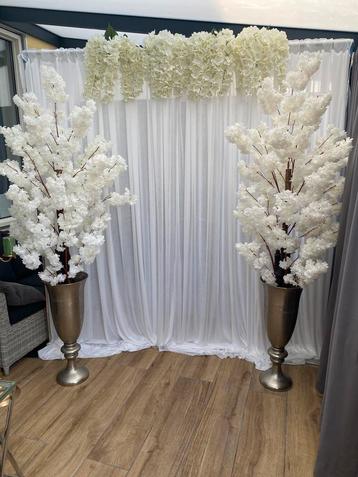 Bloesembomen te huur! beschikbaar voor biedingen