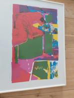 Litho/zeefdruk kunstenaar mijn niet bekend, Ophalen of Verzenden