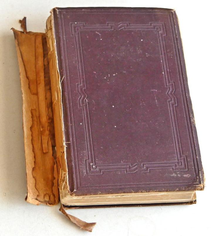 T M Looman:  Gids voor den Bijbellezer. Met vijf Kaarten, Boeken, Godsdienst en Theologie, Gelezen, Christendom | Protestants