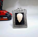 Vogelschedel in vintage lijstje, Ophalen of Verzenden, Nieuw, Vogel, Opgezet dier