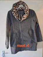 vest, Ophalen of Verzenden, Nieuw