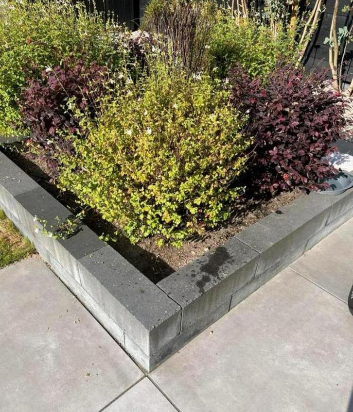 Plantenbak incl aarde en planten, Tuin en Terras, Bloembakken en Plantenbakken, Ophalen