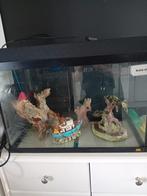 Compleet aquarium Merk Juwel+een goud visje., Dieren en Toebehoren, Vissen | Aquaria en Toebehoren, Ophalen of Verzenden, Zo goed als nieuw