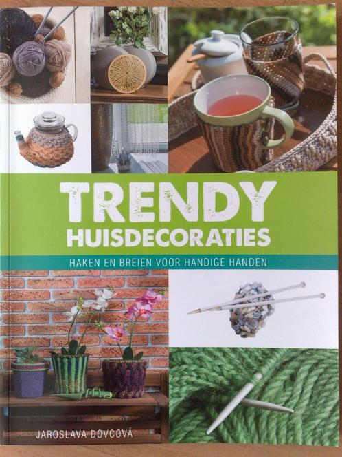 Trendy Huisdecoraties haken en breien voor handige handen, Hobby en Vrije tijd, Breien en Haken, Zo goed als nieuw, Breien, Verzenden