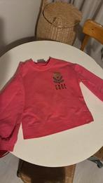 Z8 roze trui, Ophalen of Verzenden, Zo goed als nieuw, Meisje, Trui of Vest