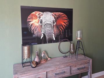 Olifant op glasplaat 120x80 cm als nieuw!  beschikbaar voor biedingen